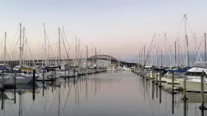 Harbour Dinner Cruise